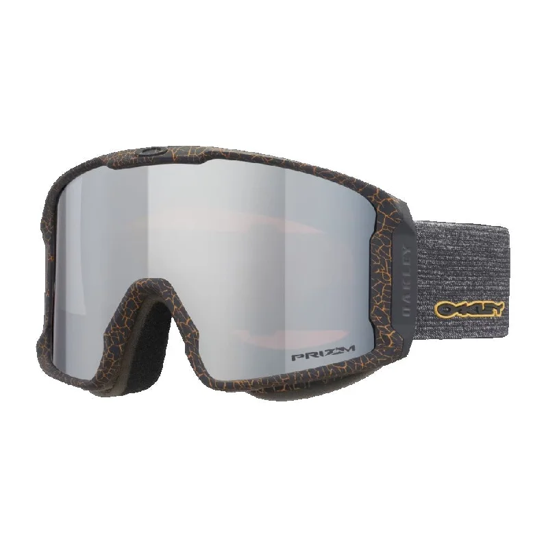 Stale - Prizm Black Irridium