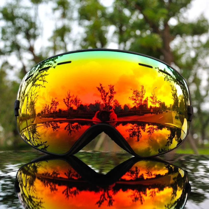 Price Slash PRO Windproof Tinted Ski Snowboard Goggles